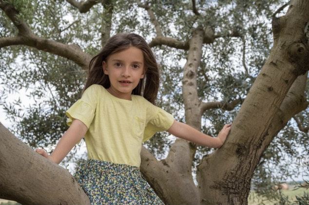 Climbing trees is a sensory and physical experience