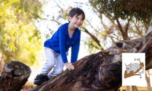 Add an element of risk with Possum Walking 