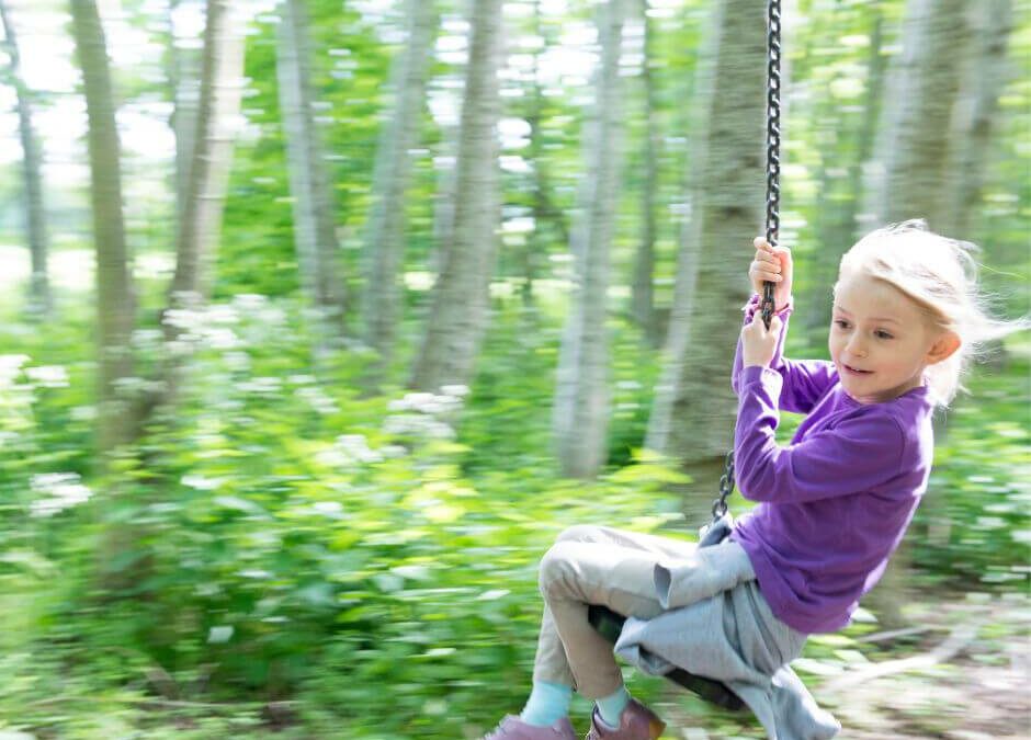 Risky Play In The Early Years: Opportunities and Obstacles