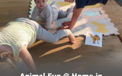 Animal Fun @ Home